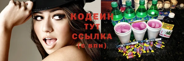 сатива Ростов