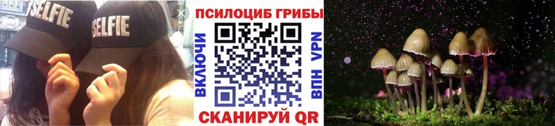 Псилоцибиновые грибы MAGIC MUSHROOMS  Севск 